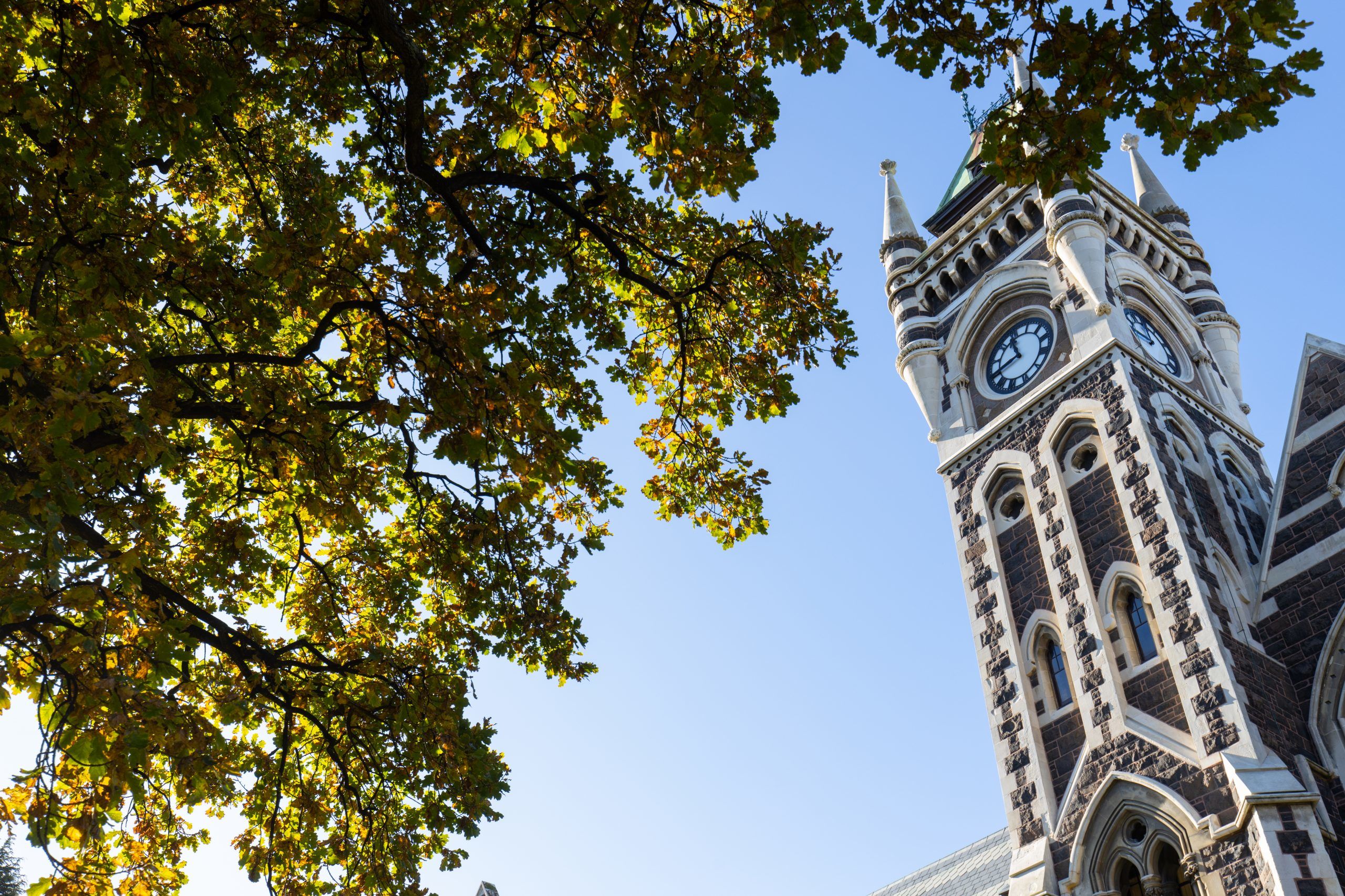 02 Otago Clocktower