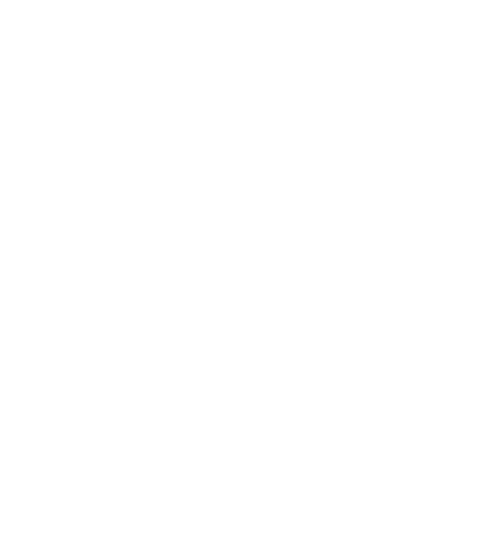 GRASFI Globe illustration